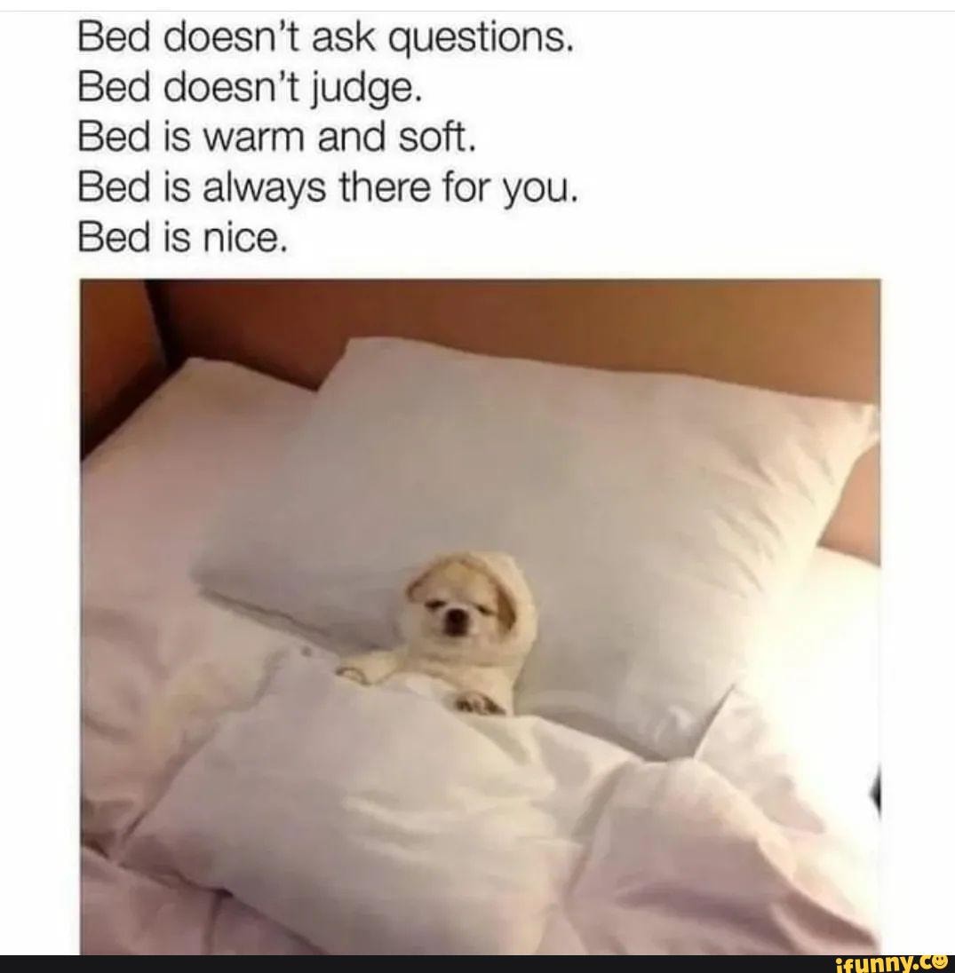 Bed Doesn T Ask Questions Bed Doesn T Judge Bed Is Warm And Soft Bed