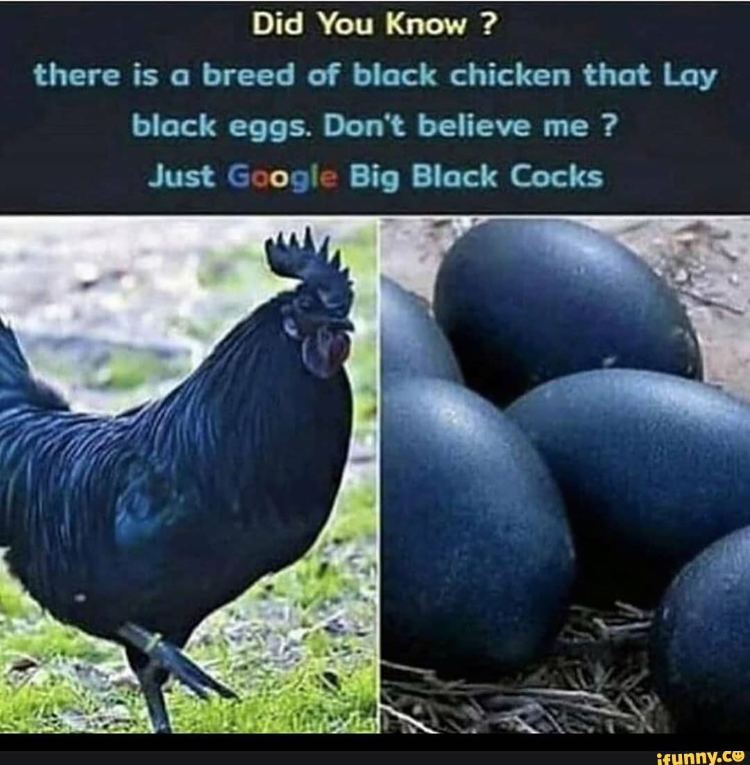 Chick cock huge tiny