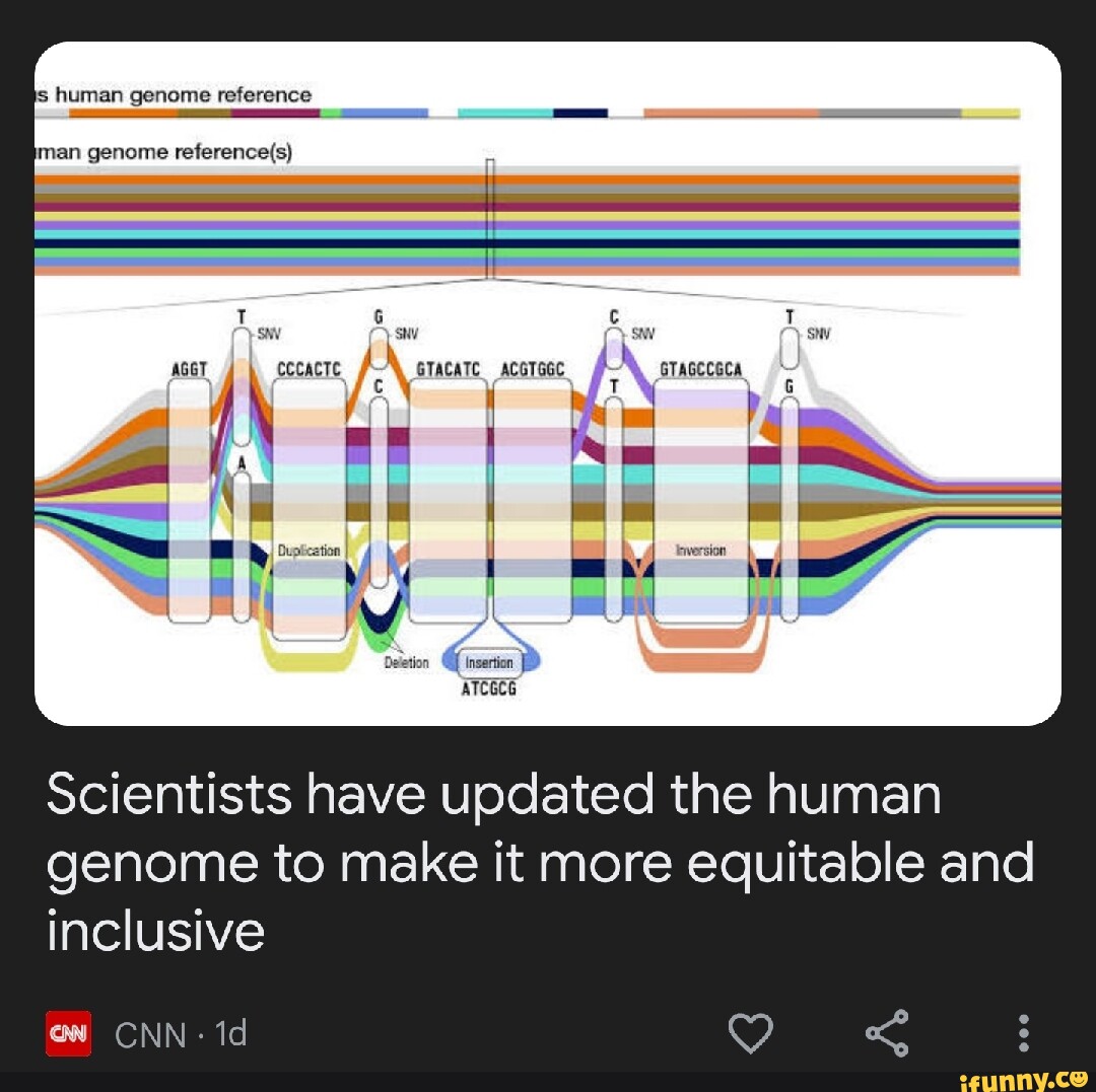 S Human Genome Reference Man Genome Insertion Scientists Have Updated