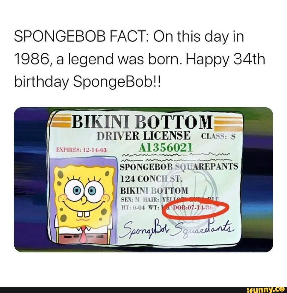 Happy Birthday Spongebob Bikini Bottom Driver License Class S Expires