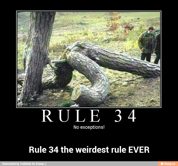 No Exceptions Rule The Weirdest Rule Ever Rule The Weirdest