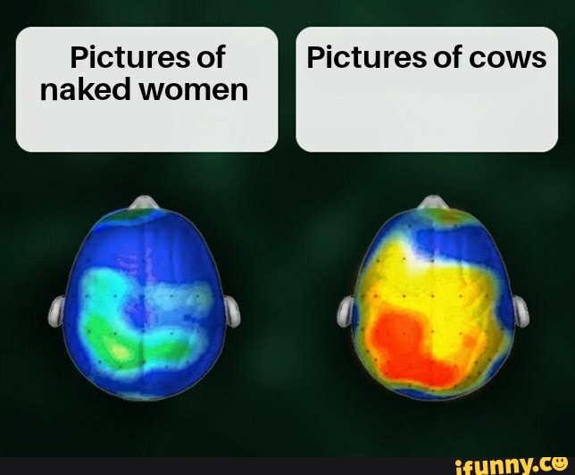 Pictures Of Pictures Of Cows Naked Women Ifunny