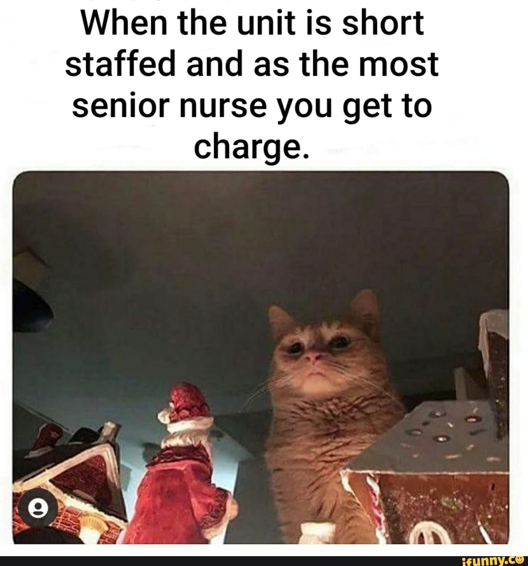 When The Unit Is Short Staffed And As The Most Senior Nurse You Get To