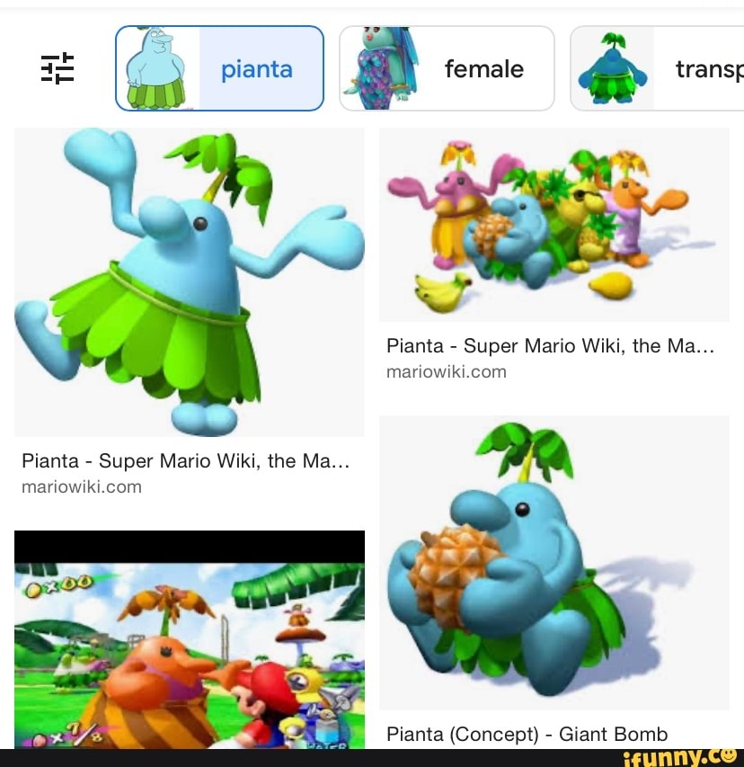 Pianta Female Re Transr Pianta Super Mario Wiki The Ma Mariowiki