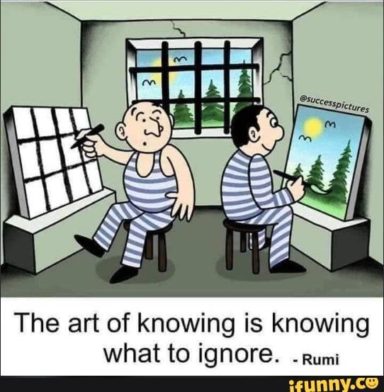 The Art Of Knowing Is Knowing What To Ignore Rumi Ifunny