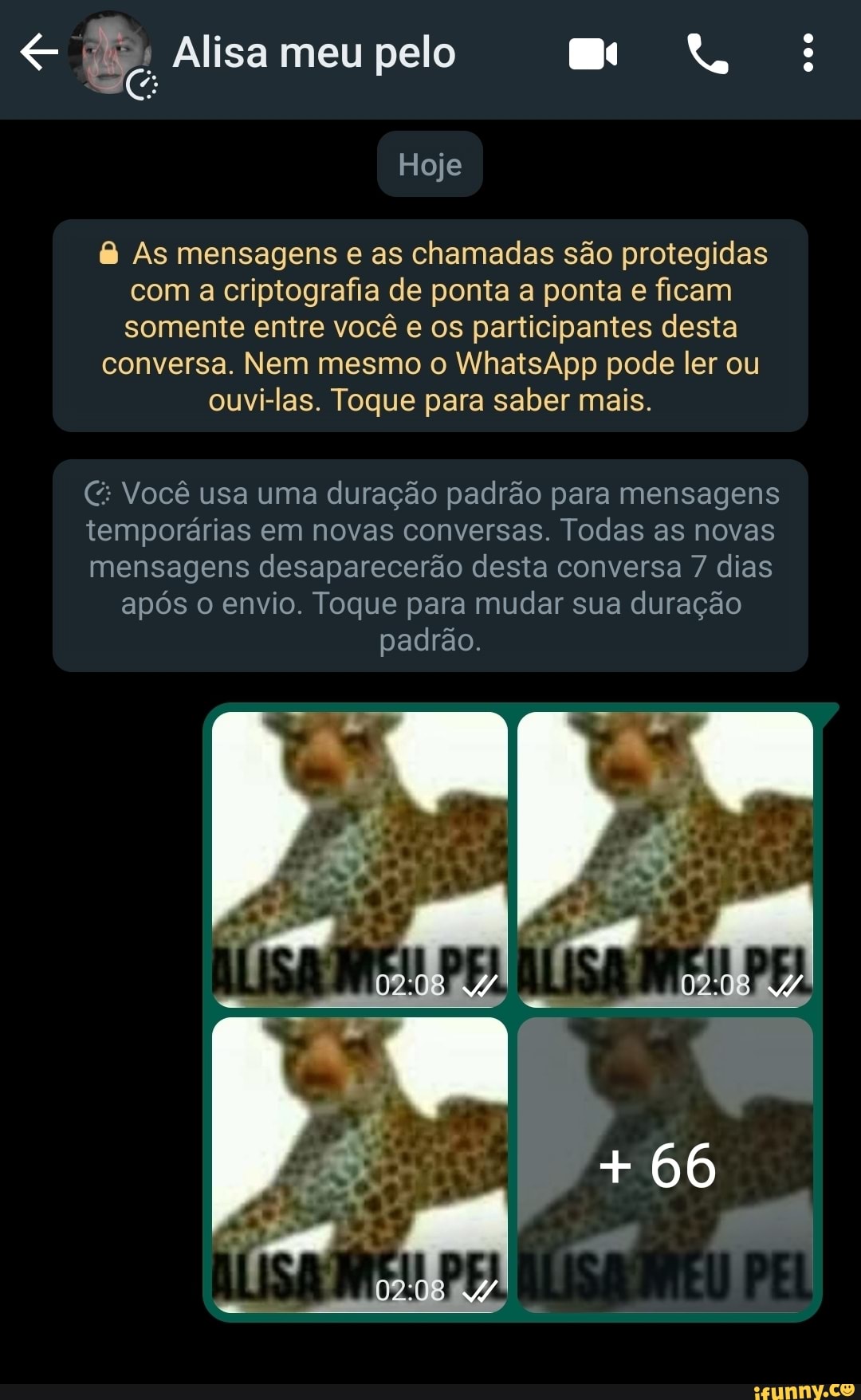 Alisa Meu Pelo Hoje As Mensagens E As Chamadas S O Protegidas A