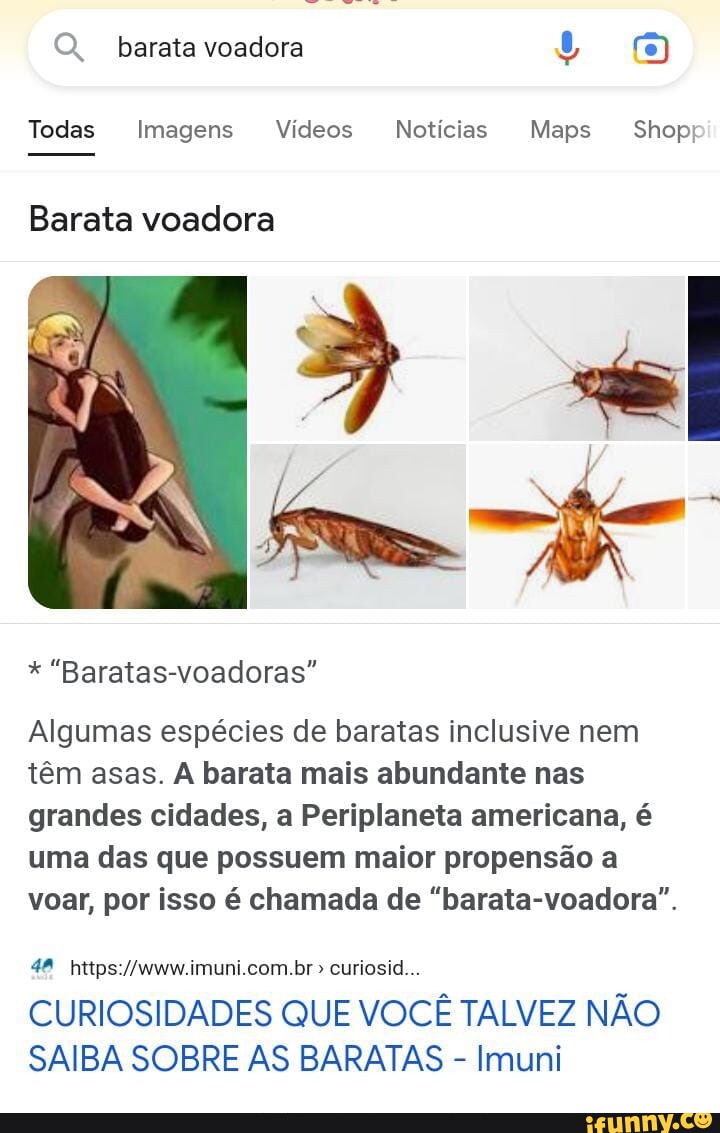 O Barata Voadora Todas Imagens V Deos Not Cias Maps Shop Barata