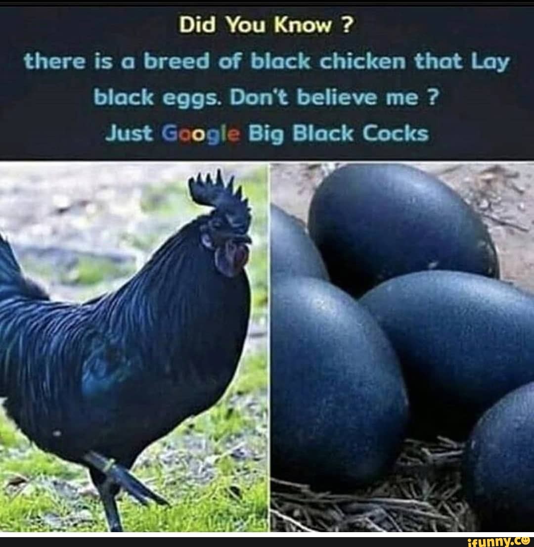 Dwarf sized petite black chick Loni Legend cums hard on a huge cock