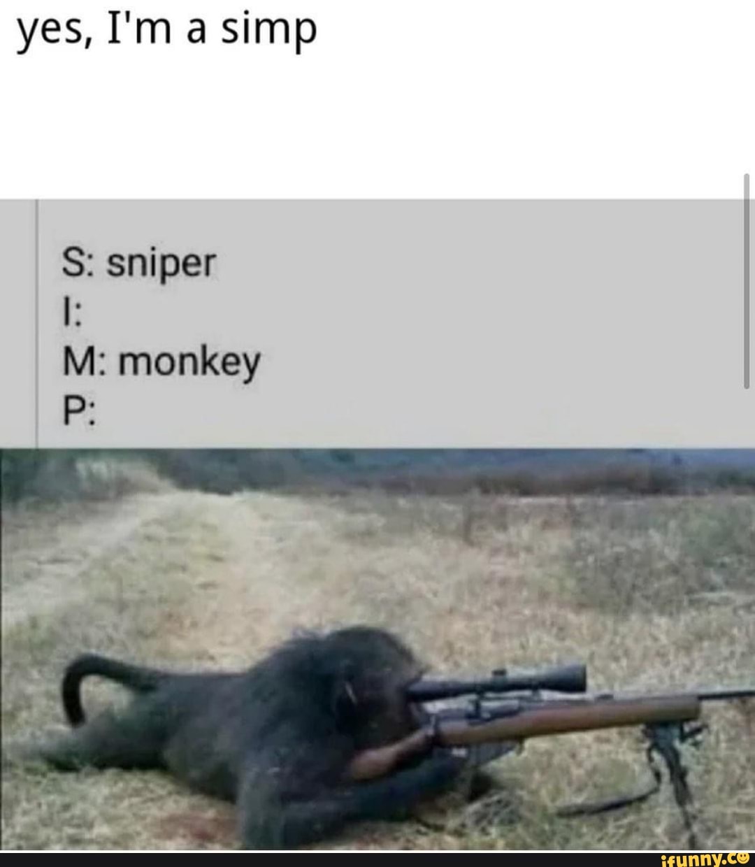 Yes I M A Simp S Sniper M Monkey IFunny