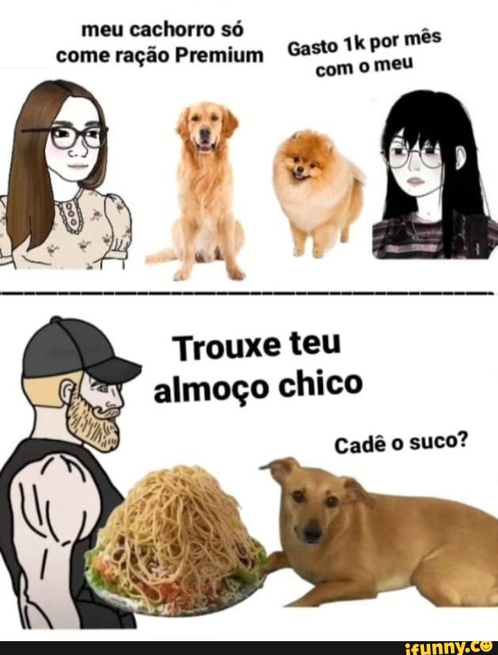 Meu Cachorro S Come Ra O Premium Gasto Por M S O Meu Trouxe Teu