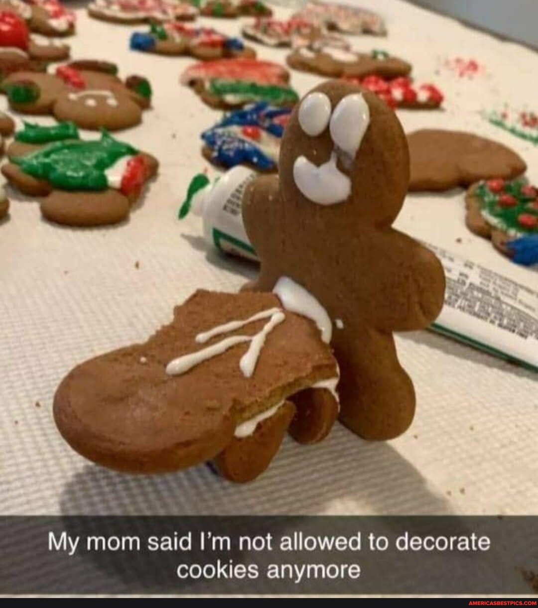 My Mom Said I M Not Allowed To Decorate Cookies Anymore Americas