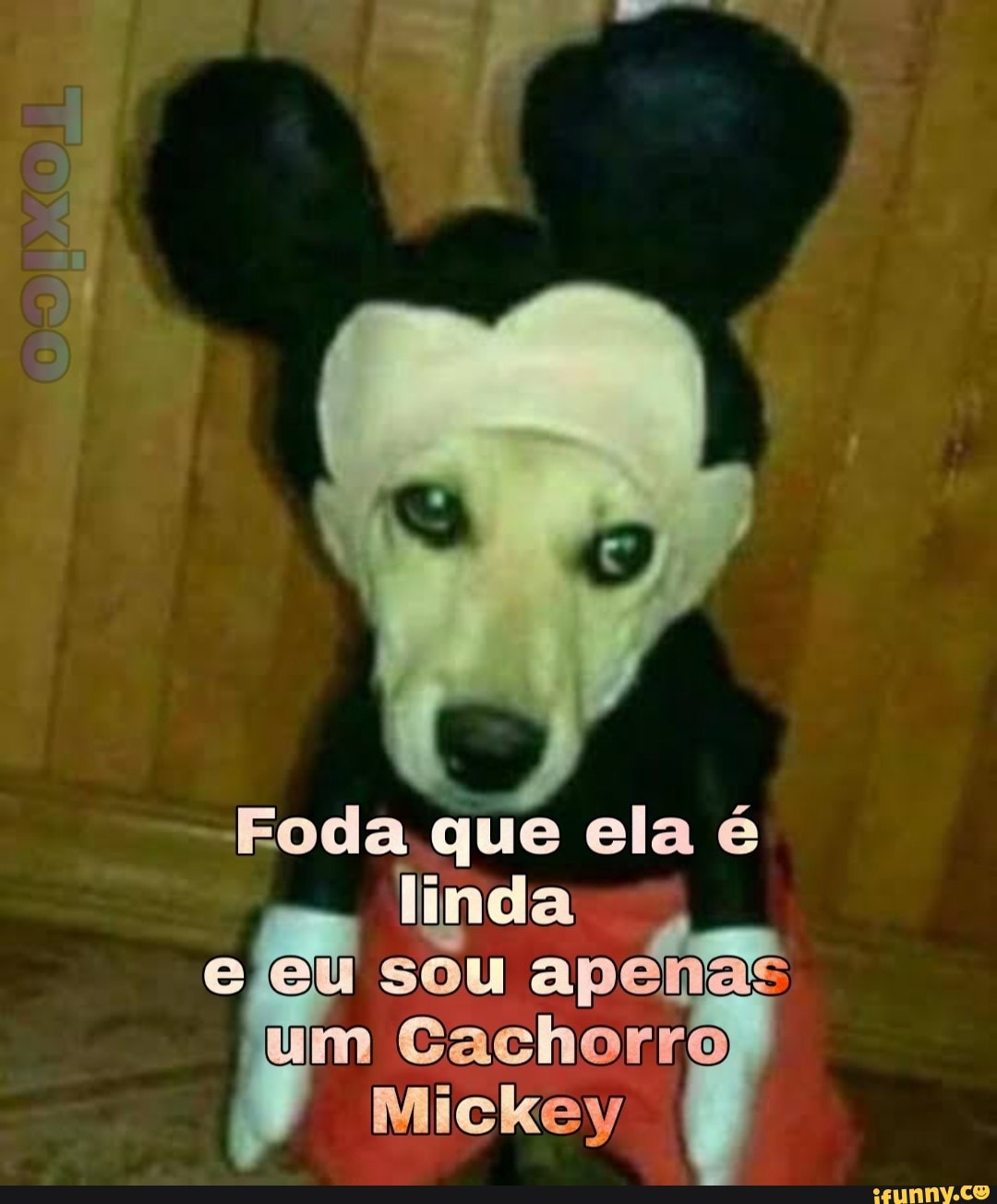 Foda Que Ela Linda Eleu Sou Apenas Um Cachorro Mickey Ifunny Brazil