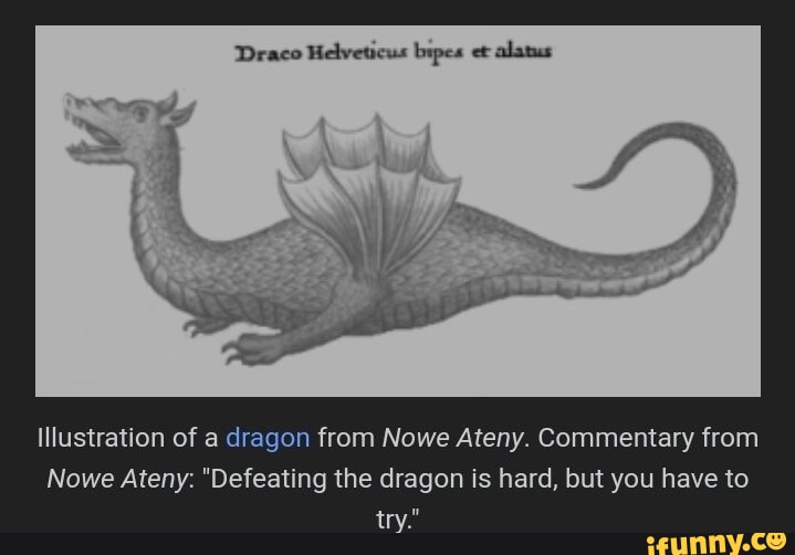 Draco Helveticus Bipes Et Alatus Illustration Of A Dragon From Nowe