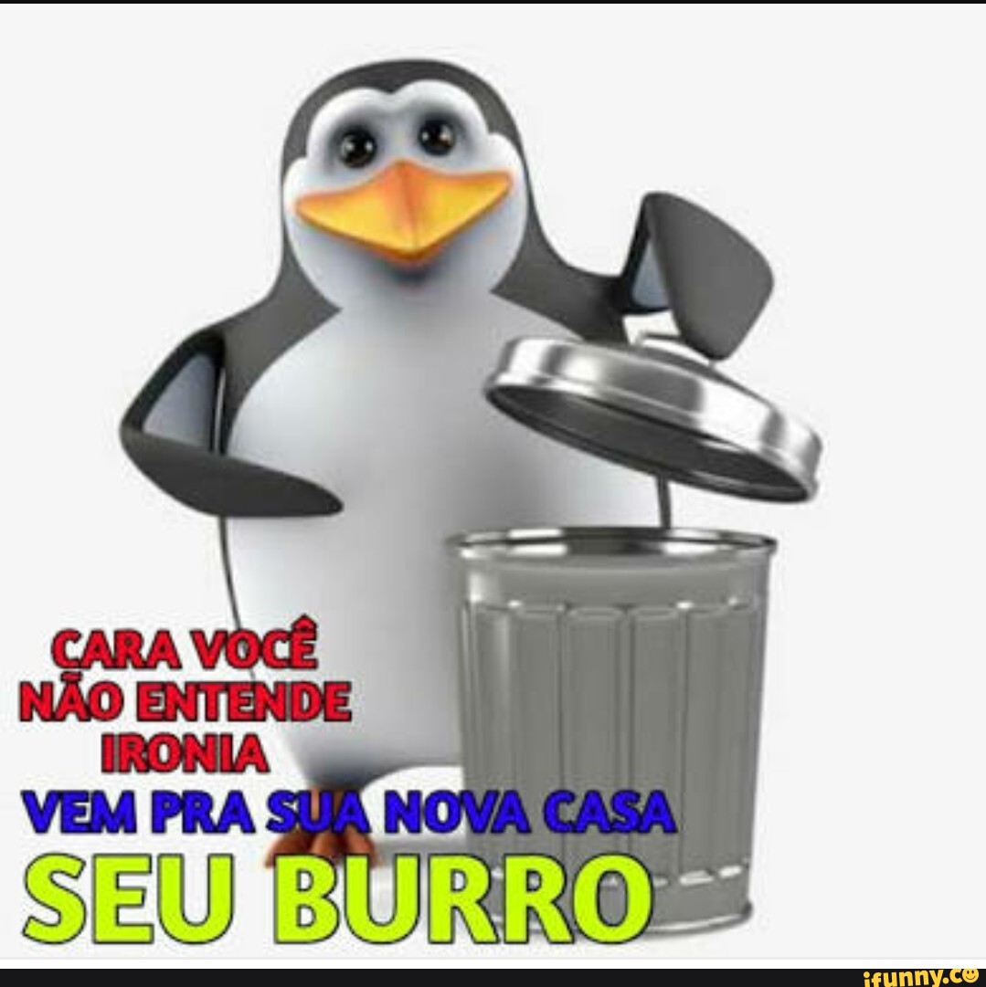 Cara Voc Nao Entende Seu Burro Ifunny Brazil