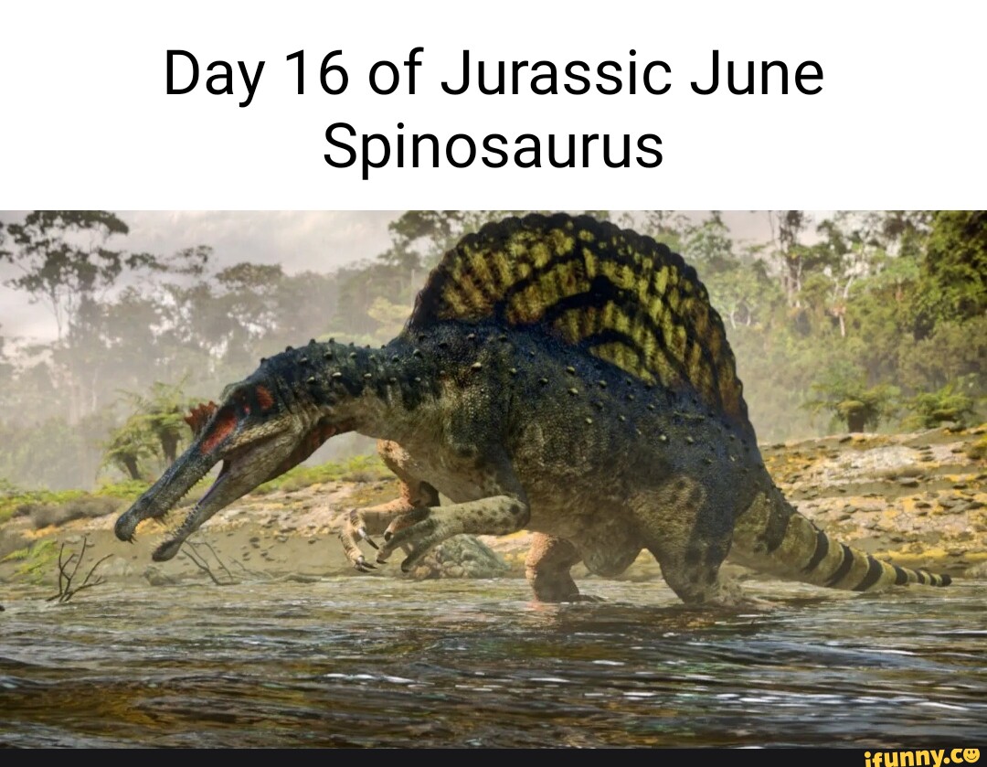 Day 16 Of Jurassic June Spinosaurus IFunny