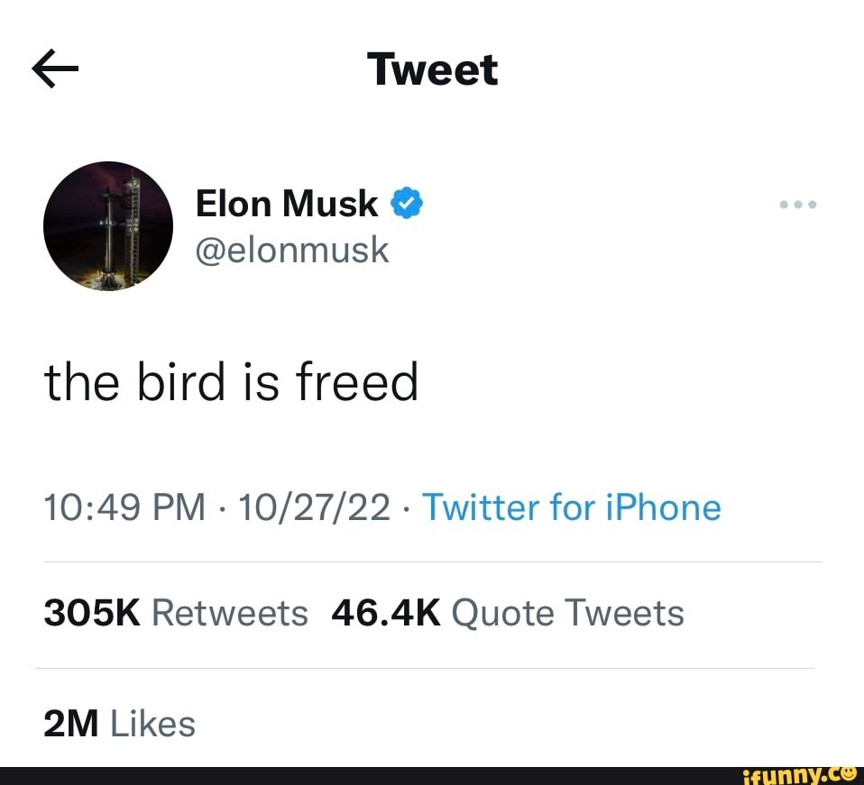 Tweet Elon Musk Elonmusk The Bird Is Freed PM Twitter For IPhone