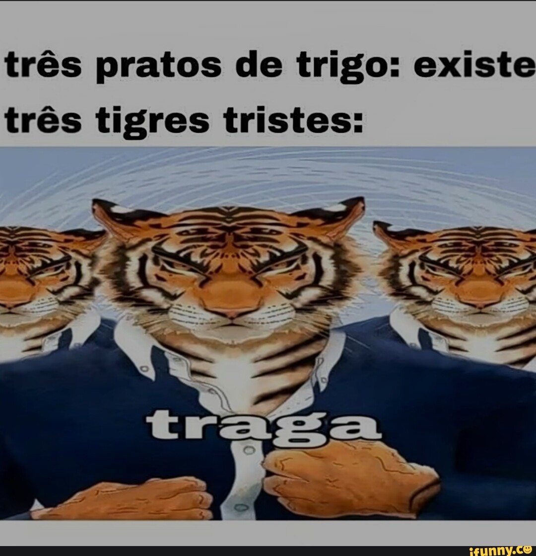 Tr S Pratos De Trigo Existe Tr S Tigres Tristes Ifunny Brazil