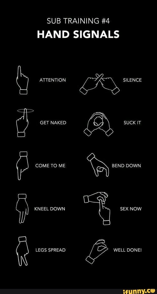 Sub Training Hand Signals Attention Get Naked Come To Me Kneel Down Legs Spread At Silence