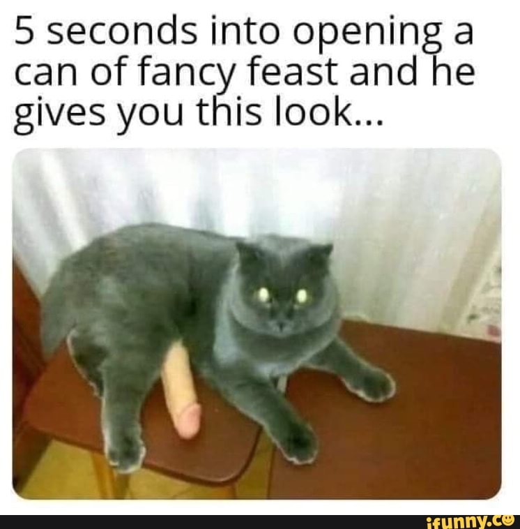 Приколы С Фалоимитатором