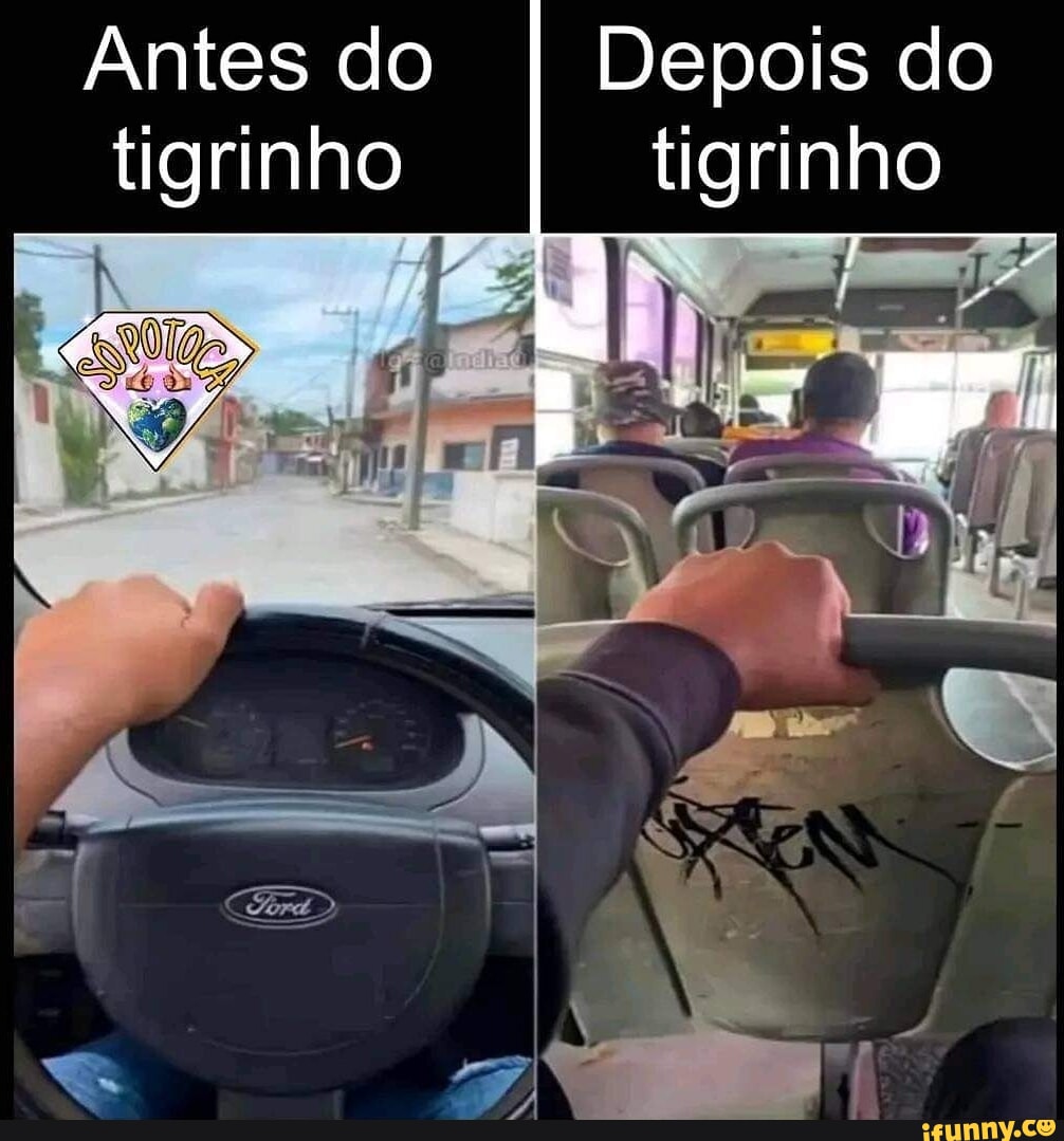 Antes Do Depois Do Tigrinho Tigrinho Ifunny Brazil