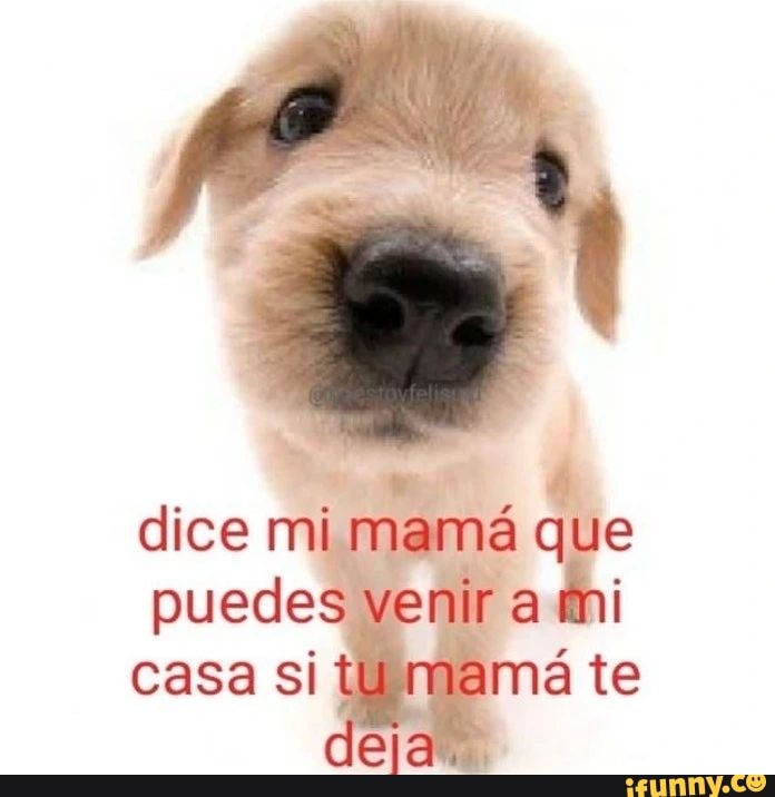 Dice Mi Mam Que Puedes Venir A Mi Casa Si Mam Te Deja