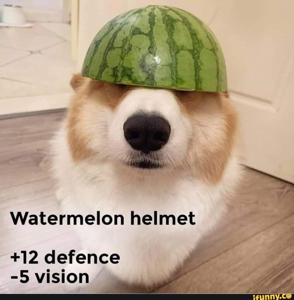 Get Your Memes From Imgur Not Your News You Muppets Watermelon