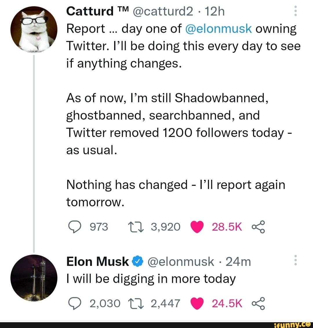 Catturd Catturd2 Report Day One Of Elonmusk Owning Twitter I Ll Be