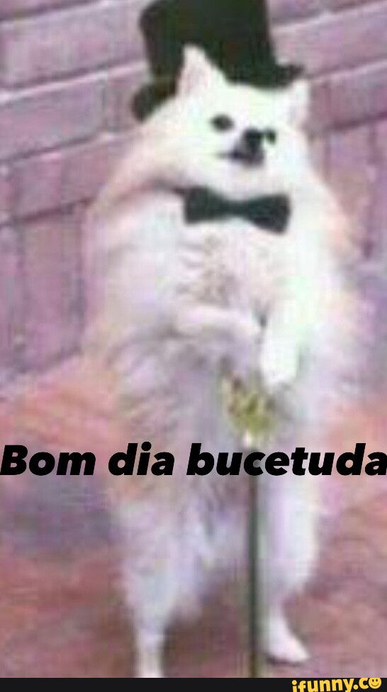 Q A Ta Bom Dia Bucetuda Ifunny Brazil