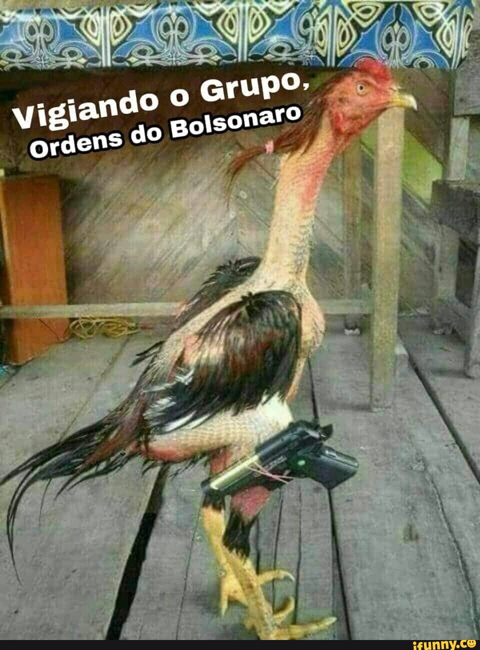 Vigian Ordens Do Do Bolson Grupo Aro Ifunny Brazil