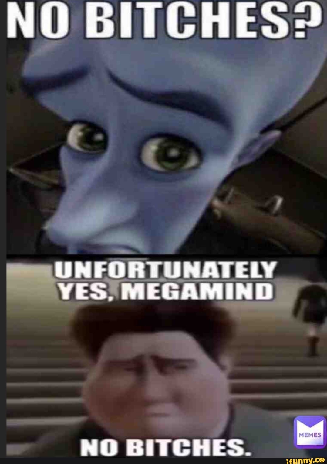NO BITCHES INATELY YES MEGAMIND NO BITCHES IFunny