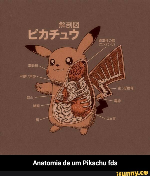 Anatomia De Um Pikachu Fds Anatomia De Um Pikachu Fds IFunny Brazil