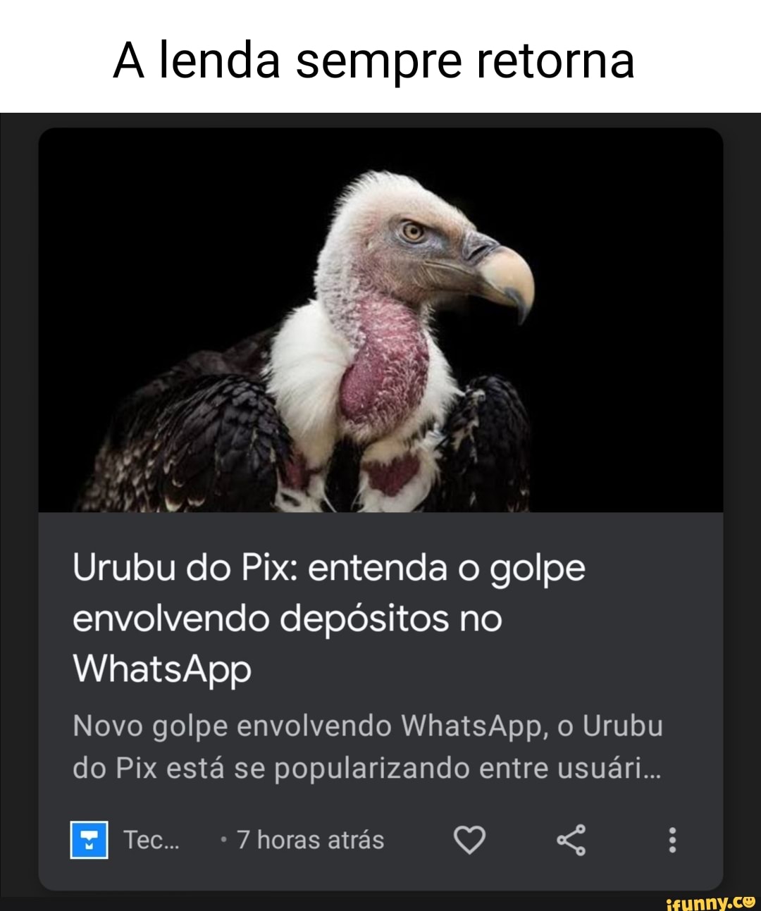 A Lenda Sempre Retorna Urubu Do Pix Entenda O Golpe Envolvendo