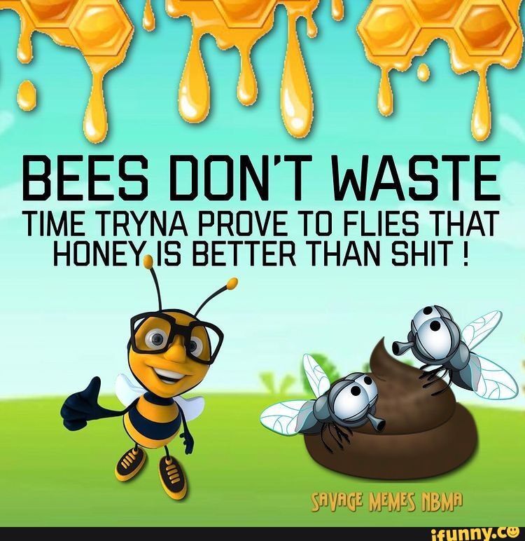 BEES DON T WASTE TIME TRYNA PROVE TO FLIES THAT HONEY IS BETTER THAN