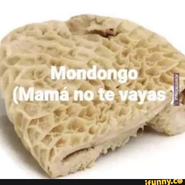 Mondongo Mam No Te Vayas Ifunny Brazil