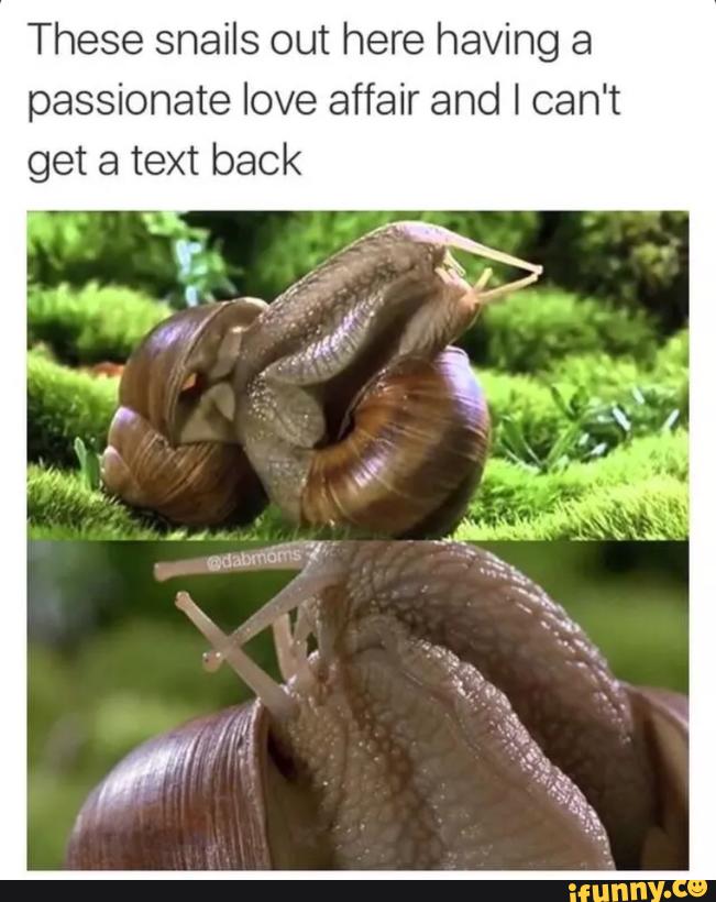 Мастурбатор Snail