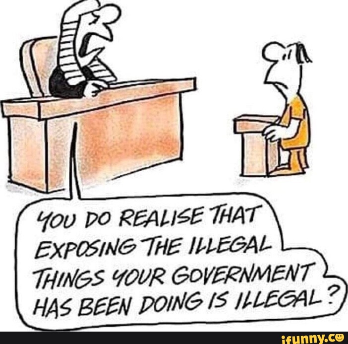 You DO REALISE THAT EXPOSING THE ILLEGAL THINGS YOUR GOVERNMENT HAS