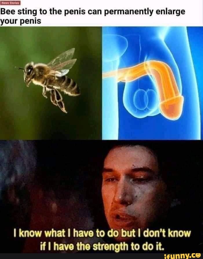 Bee Sting To The Penis Can Permanently Enlarge Your Penis I Know What I