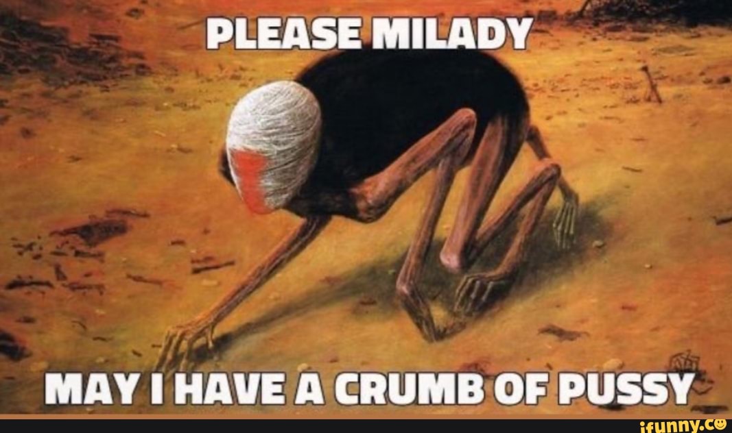 Please Milady May Have A Crumb Of Pussy Ifunny