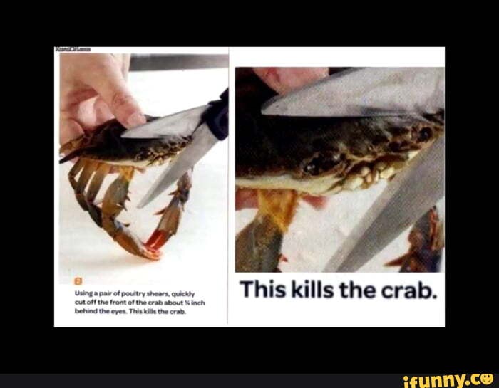 This Kills The Crab Ifunny