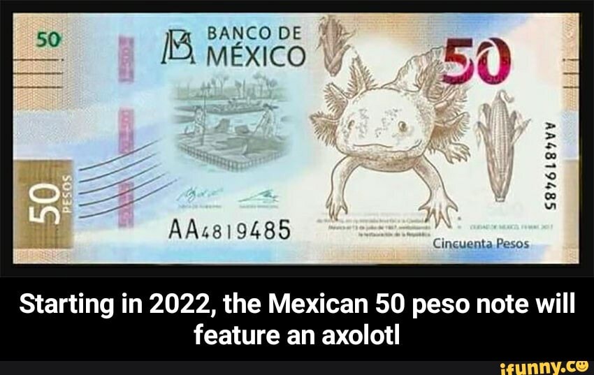 $300 Dollars To Pesos