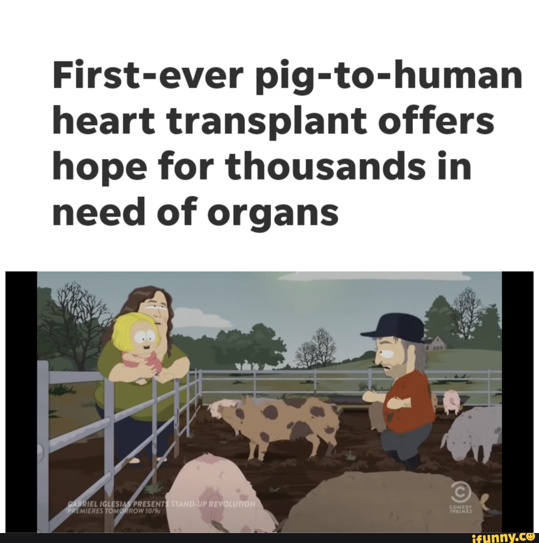 First Ever Pig To Human Heart Transplant Offers Hope For Thousands In