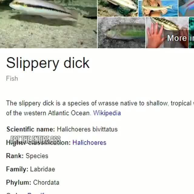 Slippery cock