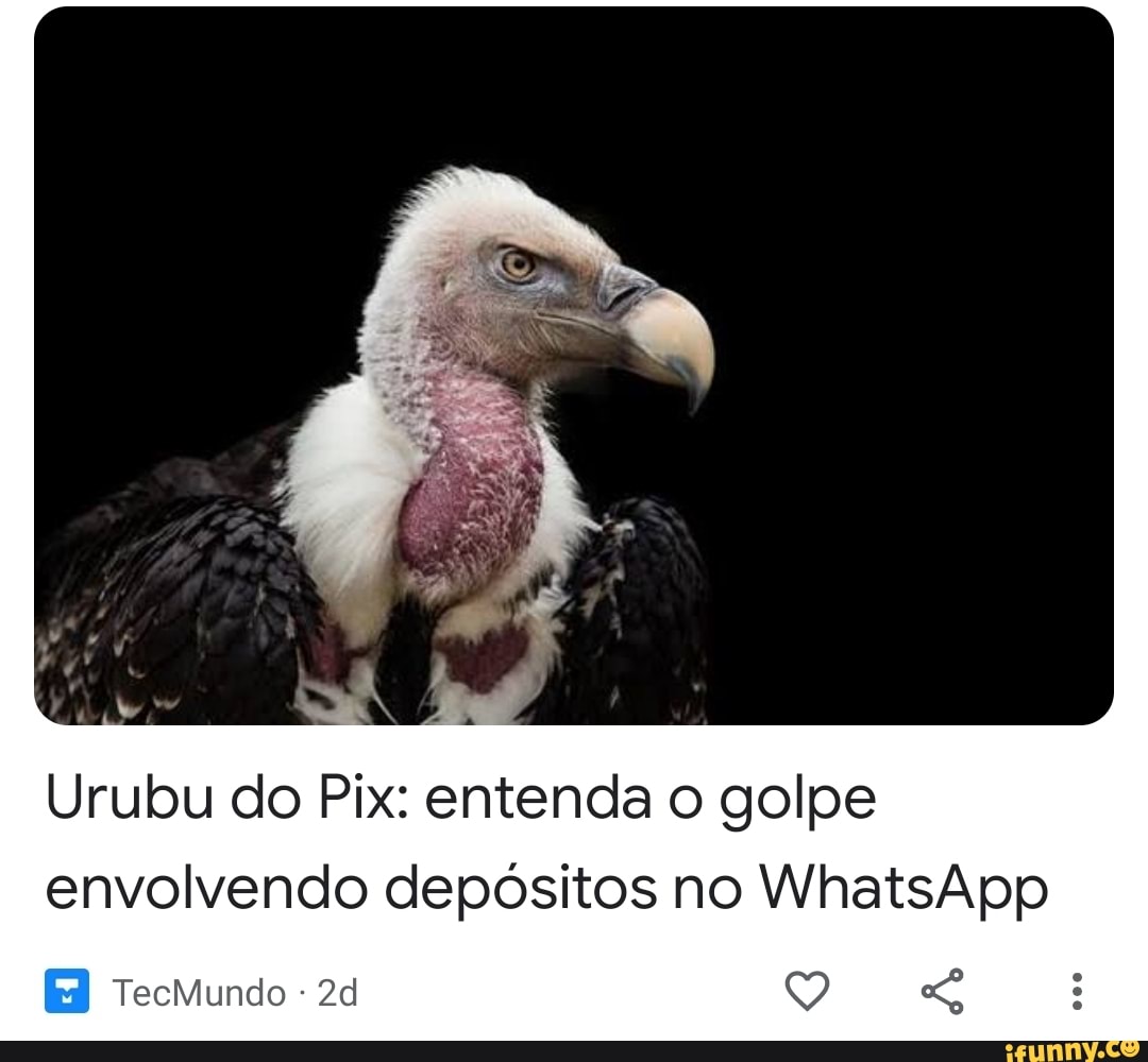 Urubu Do Pix Entenda O Golpe Envolvendo Dep Sitos No Whatsapp Tecmundo