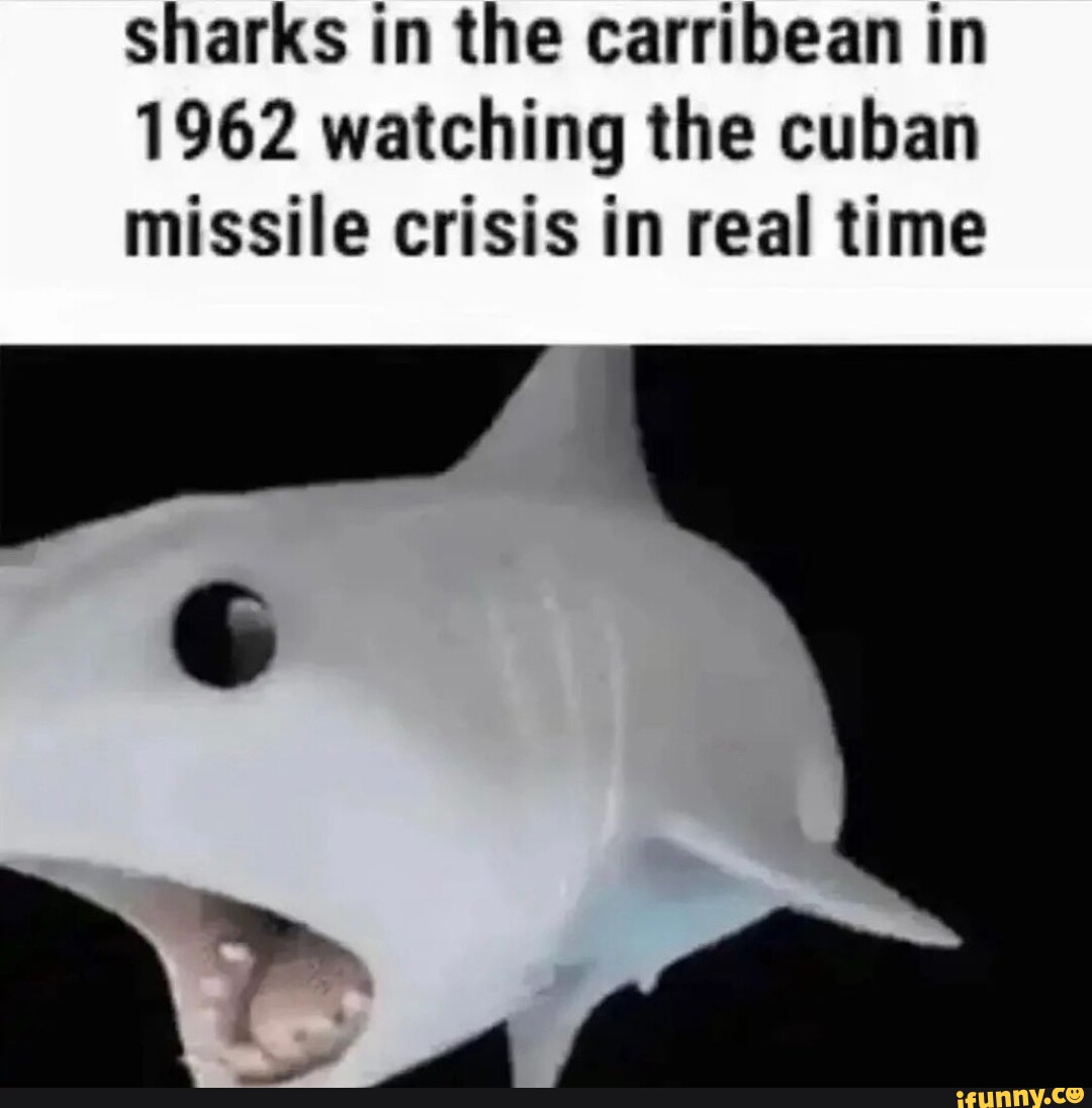 Sharks In The Carribean In Watching The Cuban Missile Crisis In