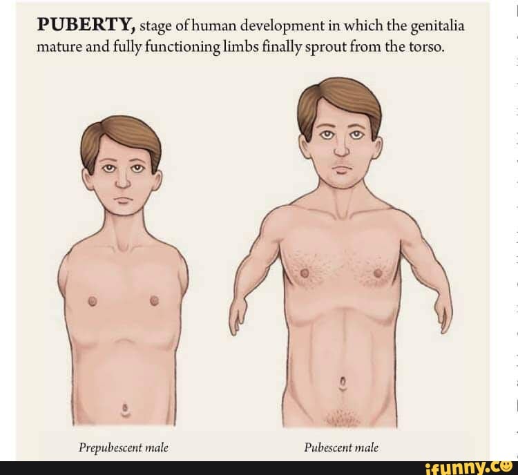 Pubescent breast development gallery