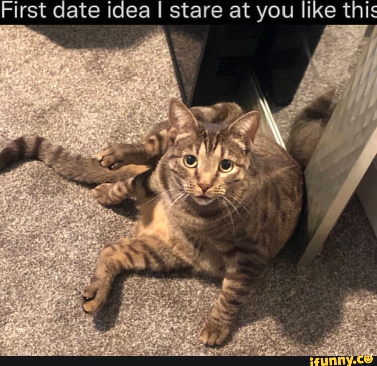 First Date Idea I Stare At You Like This IFunny