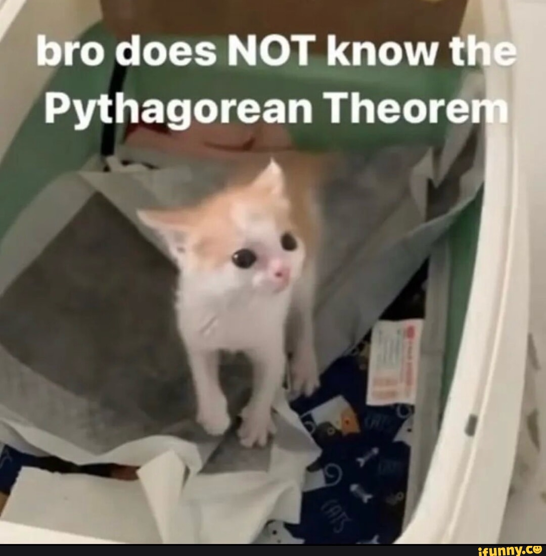 Bro Does NOT Know The Pythagorean Theorem IFunny