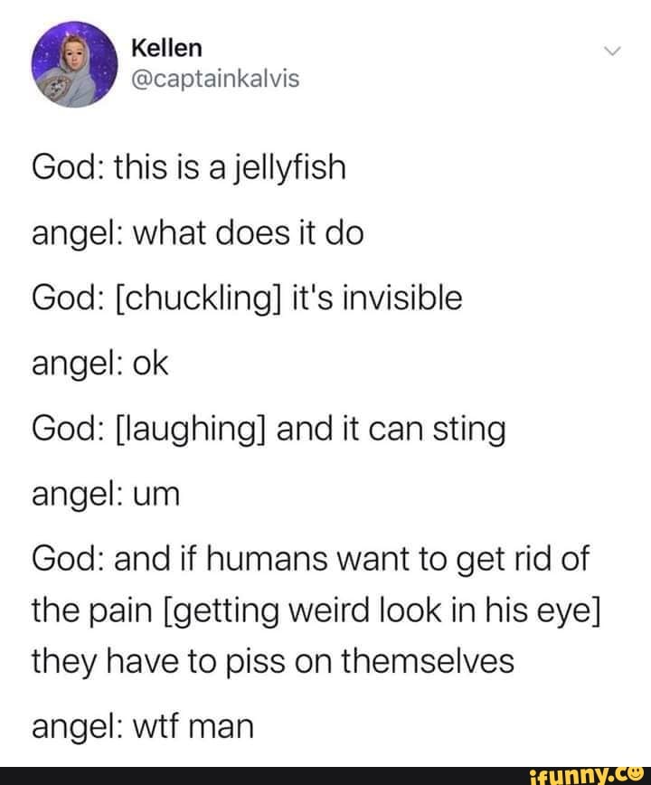 god: this is a jellyfish angel: what does it do god: [chuckling]