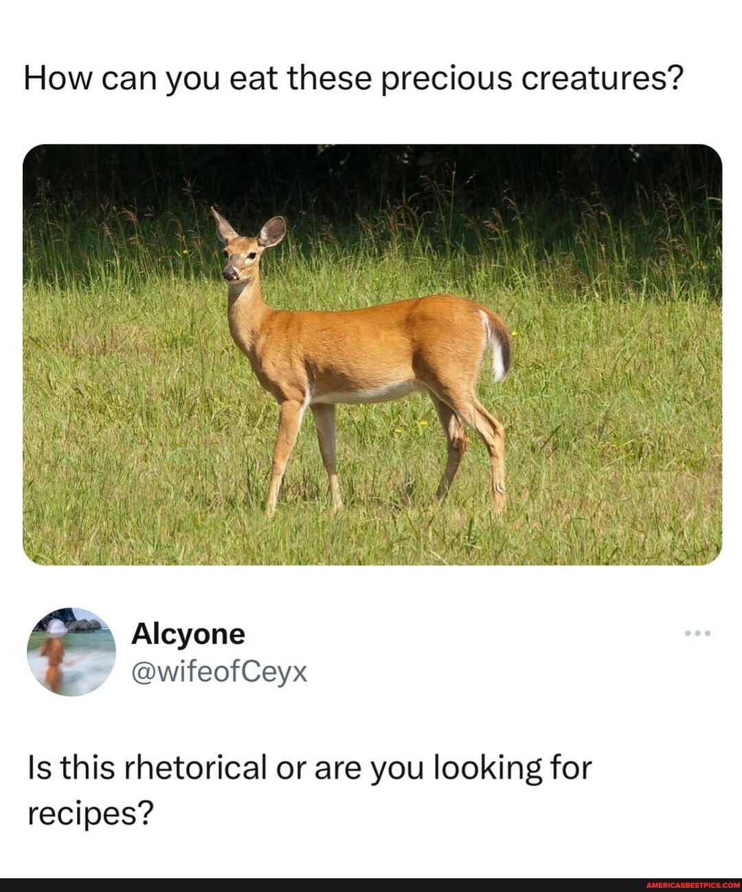 Oh Deer Like This Content Follow Us For More Memezar Twt