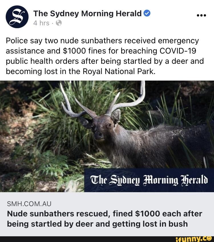 The Sydney Morning Herald Police Say Two Nude Sunbathers Received Emergency Assistance And